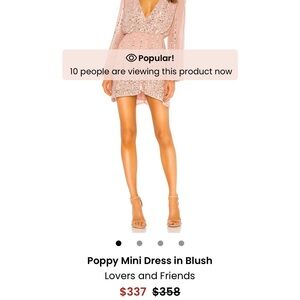 Lovers + Friends Blush Mini Dress